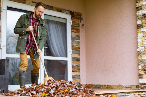 Best Dumpster Rental Services  in Dickinson, TX